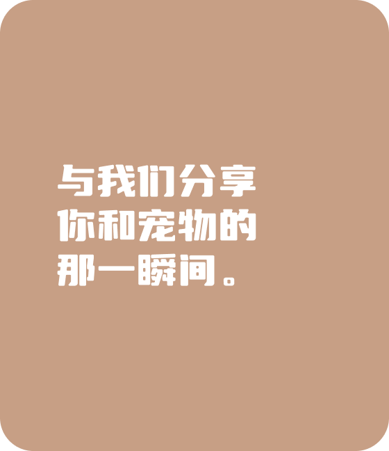 OD.COM宠物，无处不在